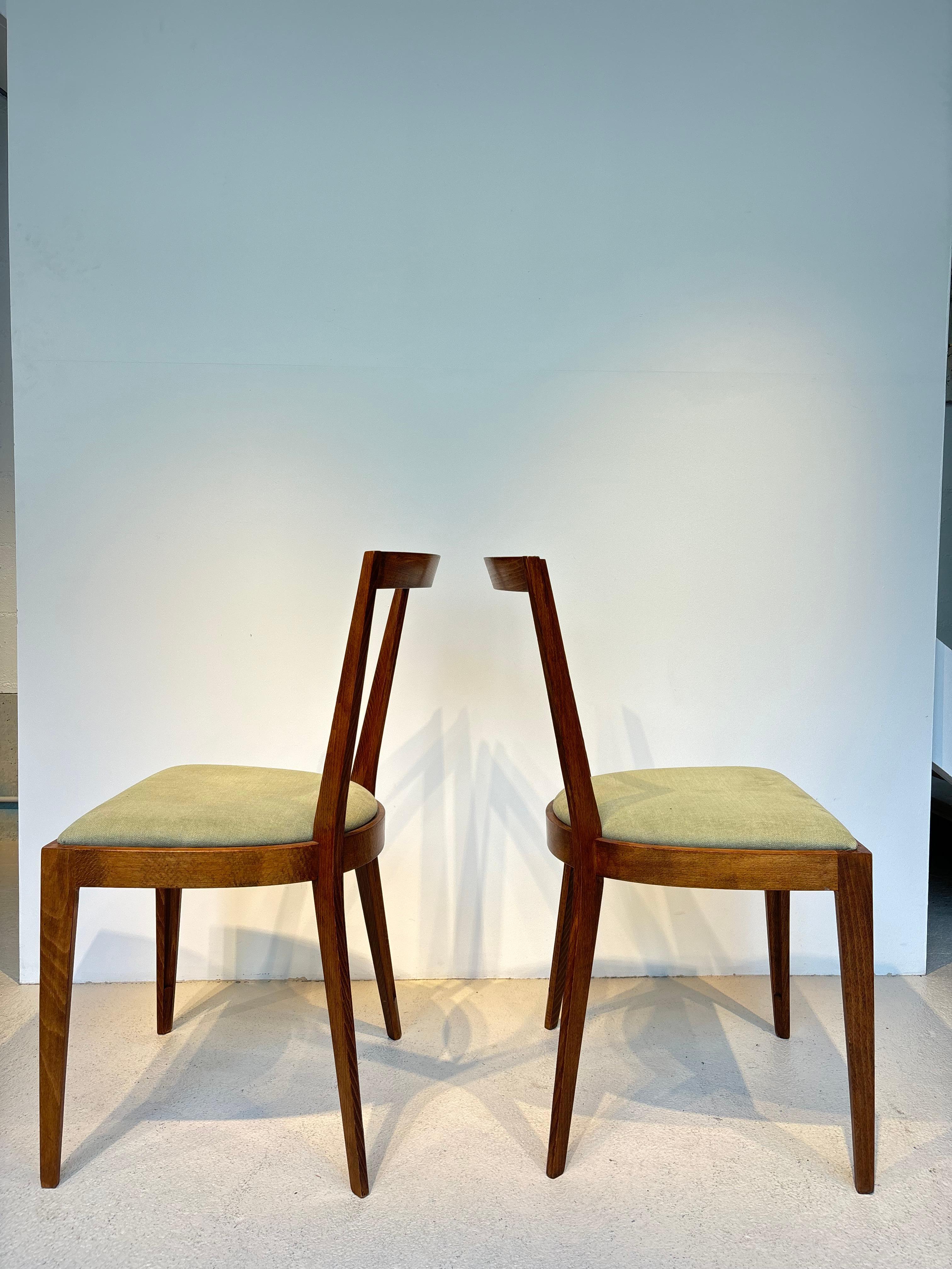 Rare set of six chairs by Gio Ponti model 504 circa 1943