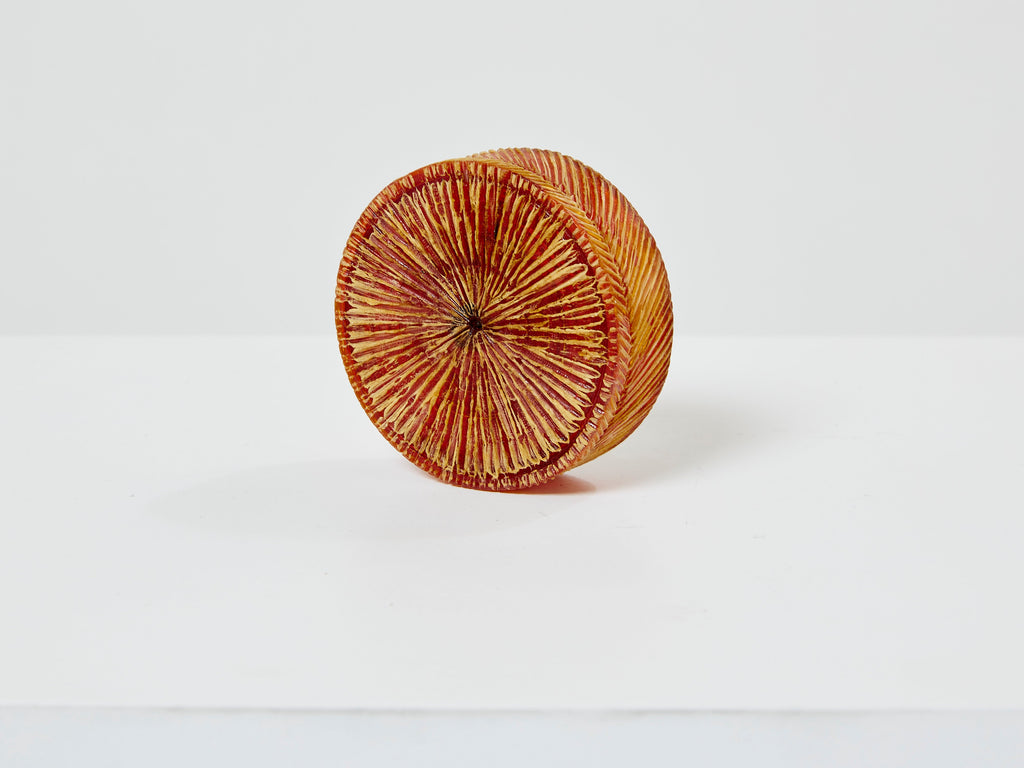 Line Vautrin orange talosel marguerite mirror round box 1960
