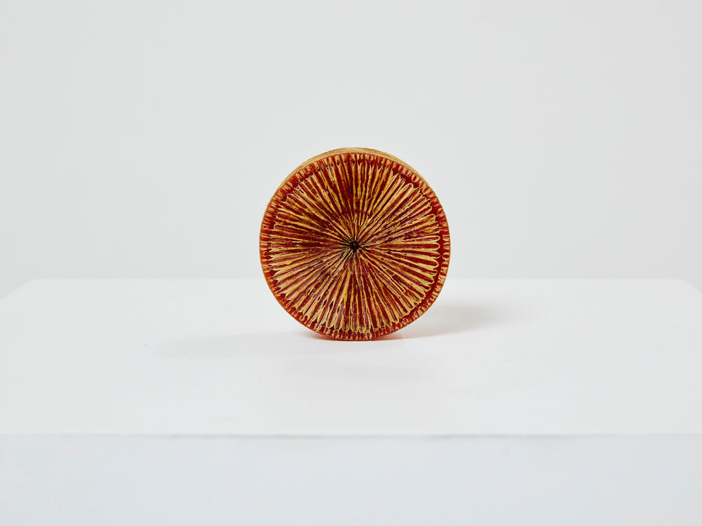 Line Vautrin orange talosel marguerite mirror round box 1960