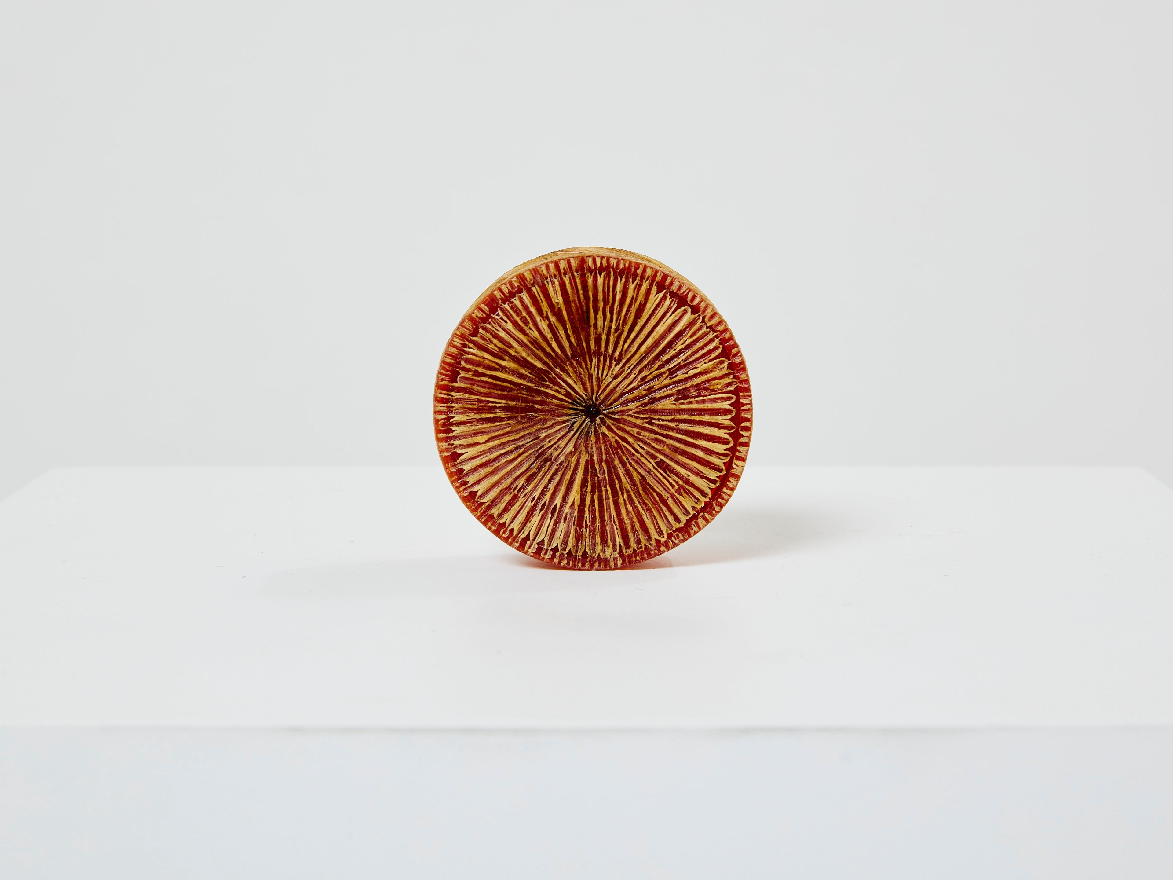 Line Vautrin orange talosel marguerite mirror round box 1960
