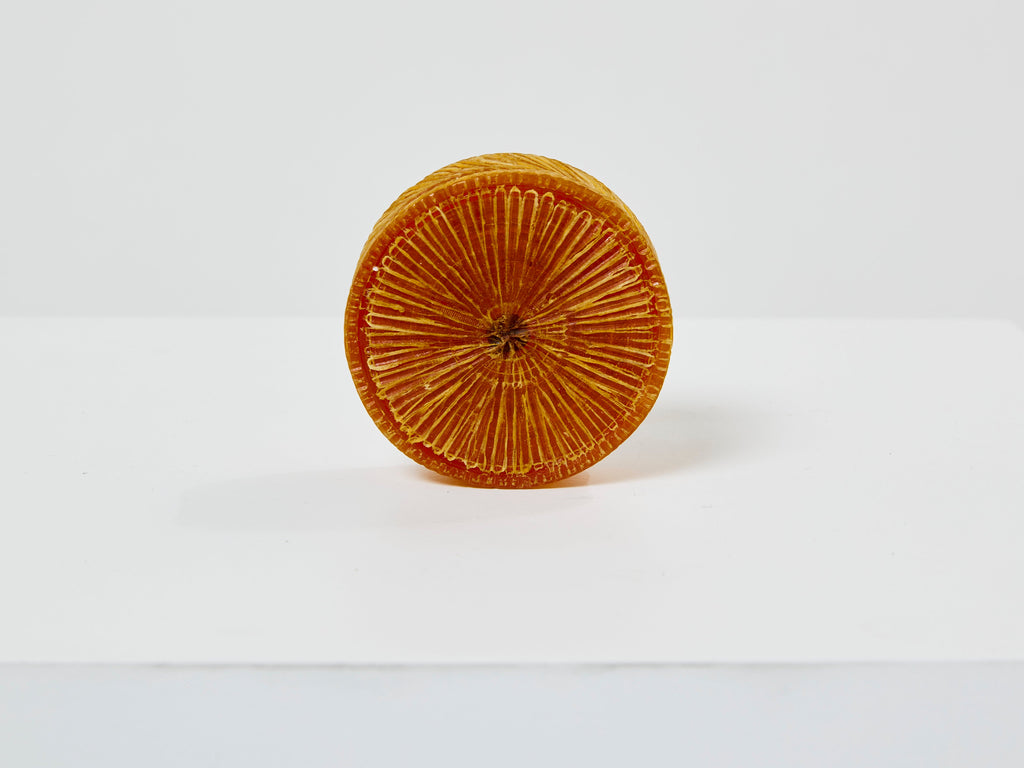 Line Vautrin yellow talosel marguerite mirror round box 1960