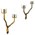 Pair of sconces by Arlus after a drawing by Felix Agostini